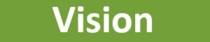 Vision